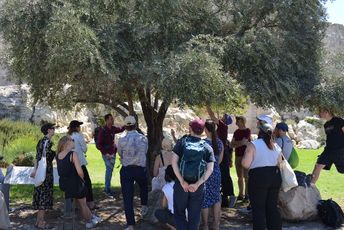 Gruppe von Menschen versammelt sich unter einem Baum und nimmt an einer Führung teil.