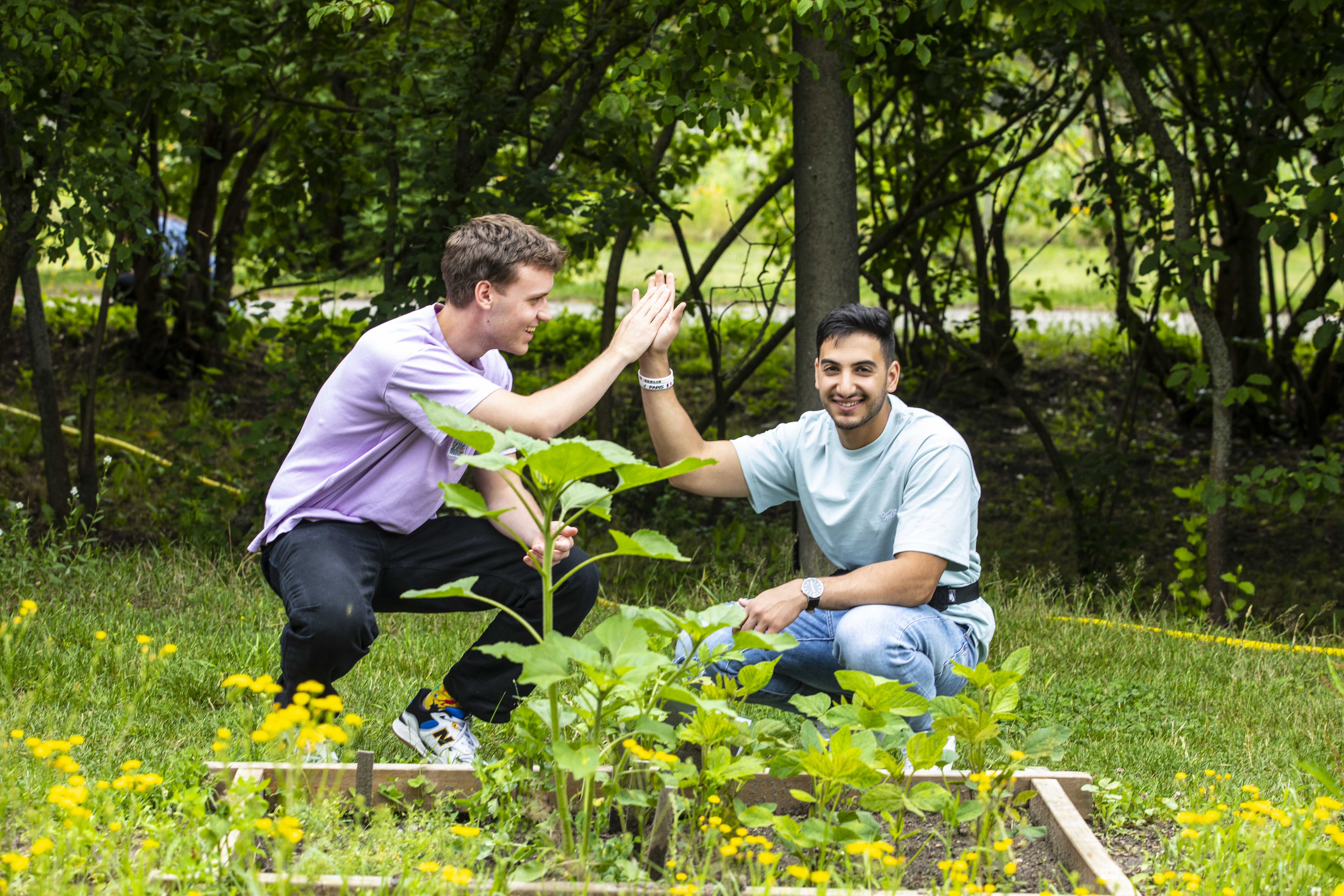 Zwei Jugendliche aus Deutschland und Israel beim Handschlag auf dem Weltacker in Berlin.